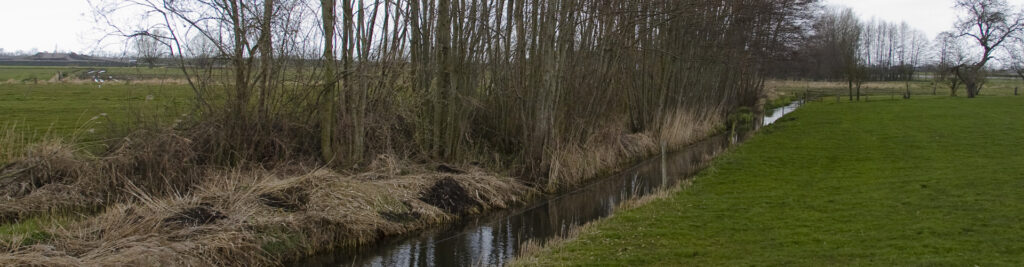 Kanaal van Karel van Gelre