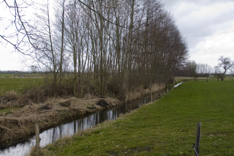 Kanaal van Karel van Gelre