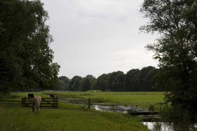 Tienhovensch Kanaal